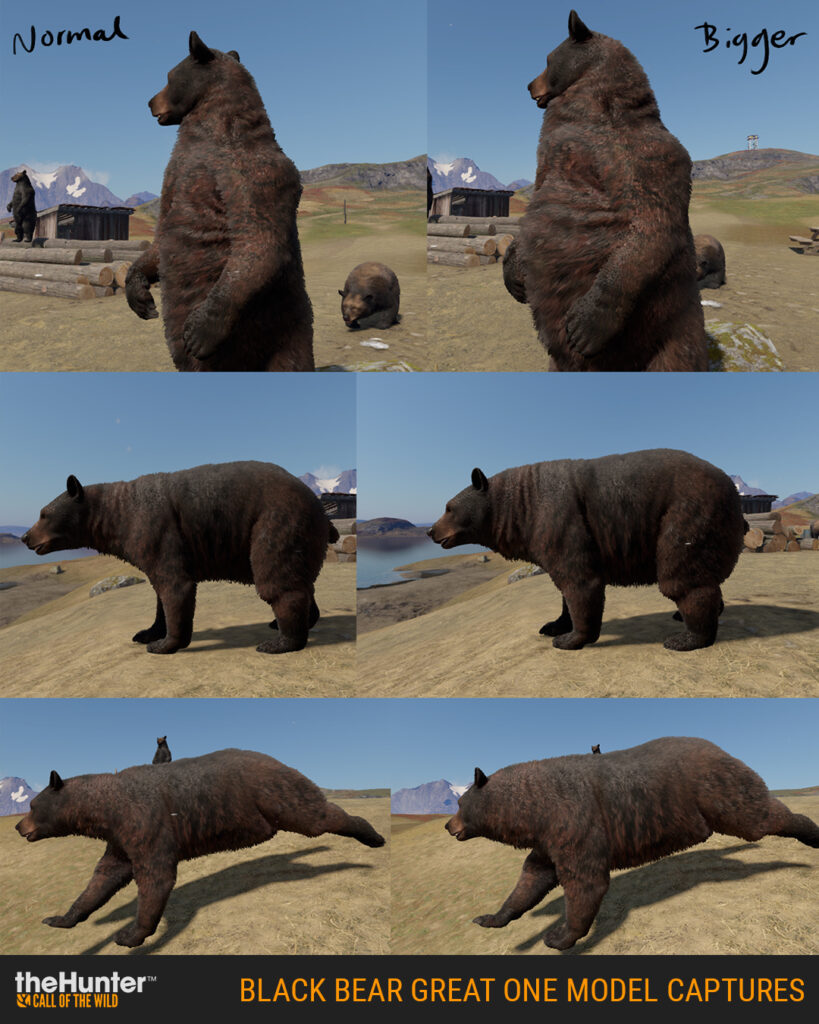 Model captures comparing the difference in size between a regular Black Bear and a Black Bear Great One.
