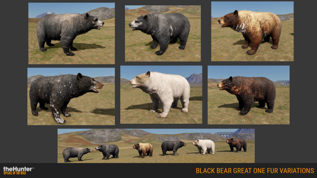 Final 3D models for the Black Bear Great One.