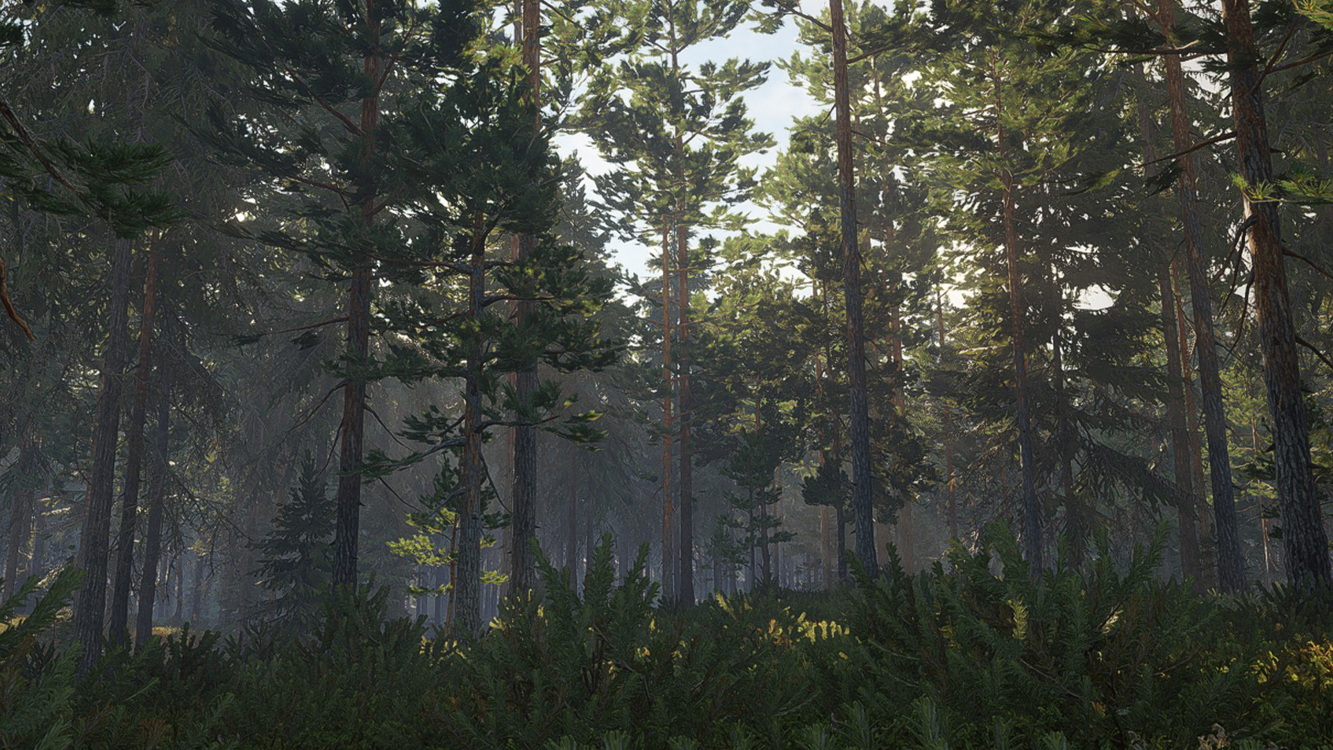 Developer Diary: Nature of Revontuli Coast | theHunter: Call of the Wild