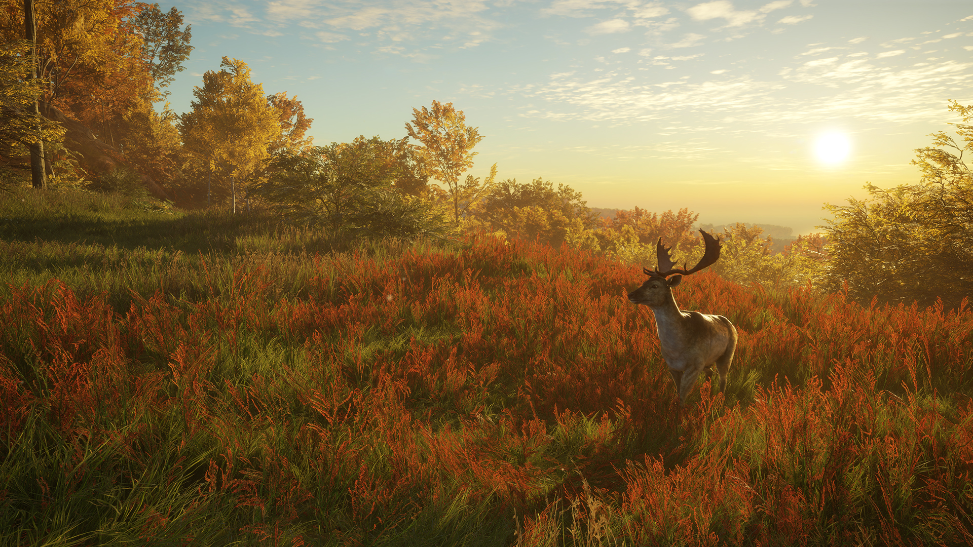 трейнер для the hunter call of the wild no steam фото 34