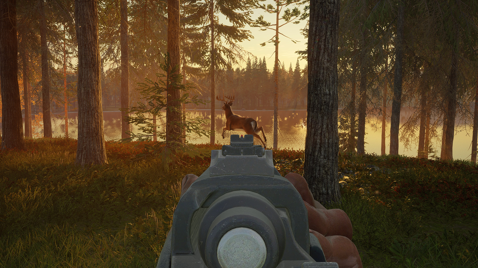 theHunter: Call of the Wild - Hunter Power Pack at the best price