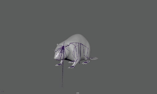 Greyscale 3D model of a beaver with lines showing the rig inside