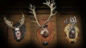 Three animals on wall mounts.