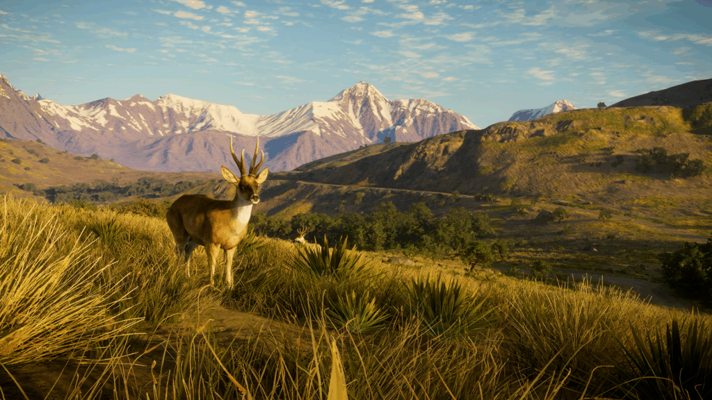 Peru Hunting Reserve