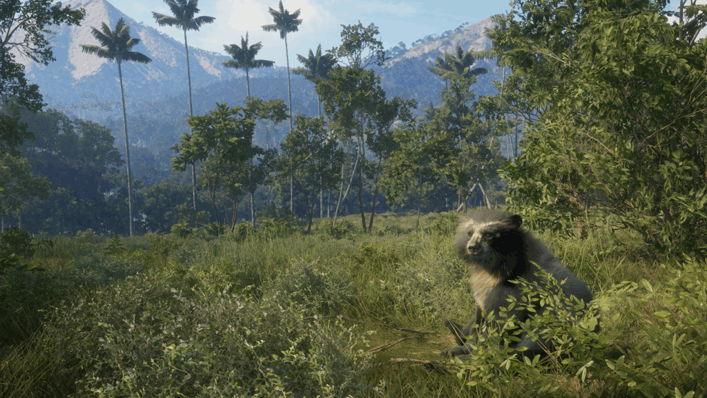 Peru Hunting Reserve