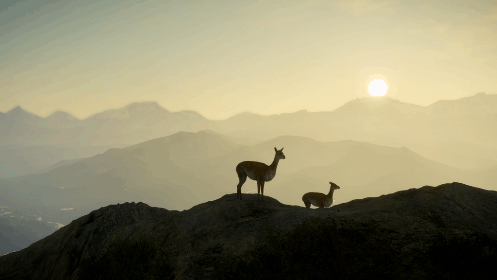 Peru Hunting Reserve